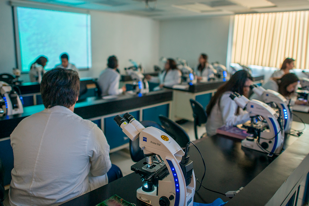 Alumnos con microscopios en clase.