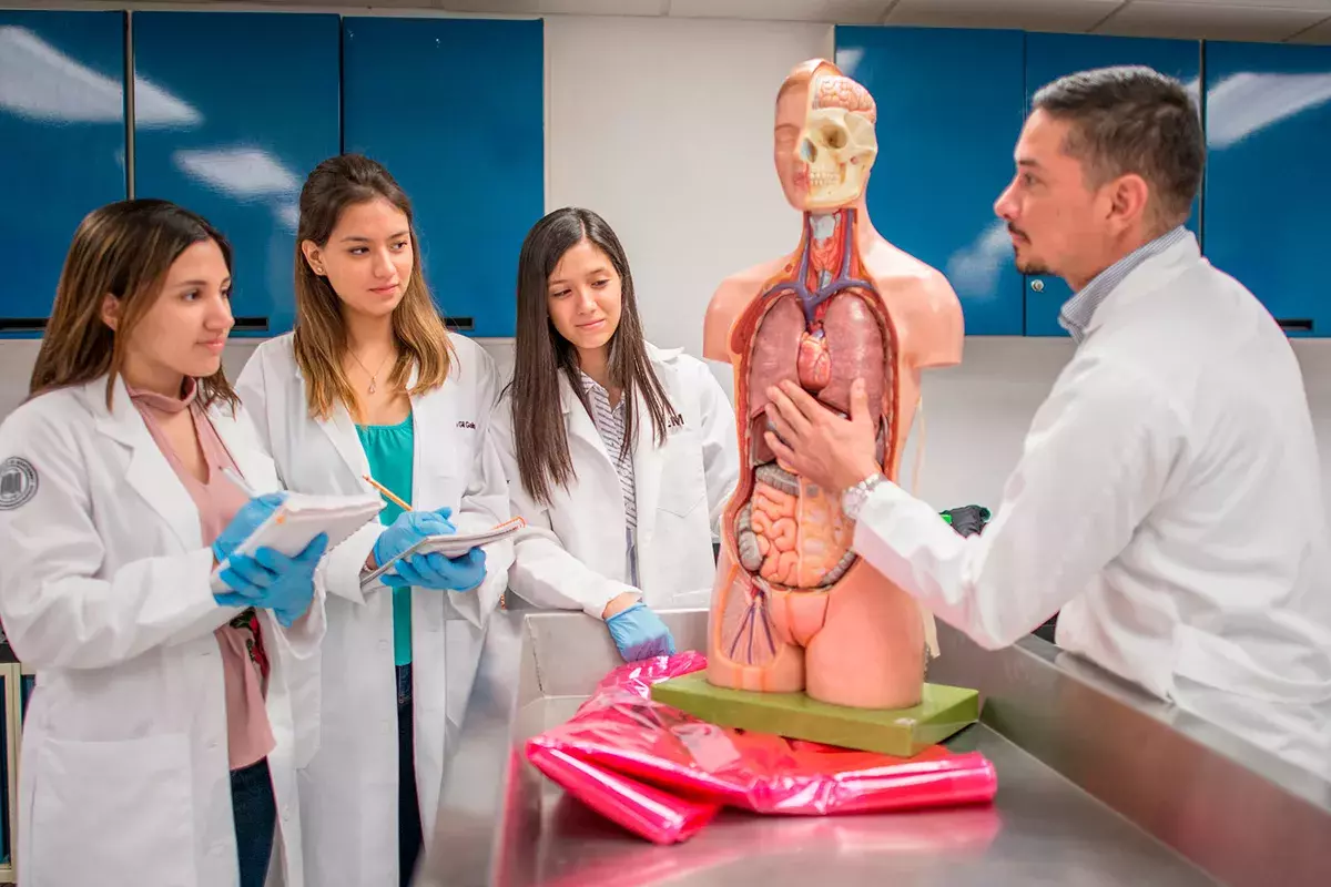 Maestro enseñando a alumnas cuerpo humano.