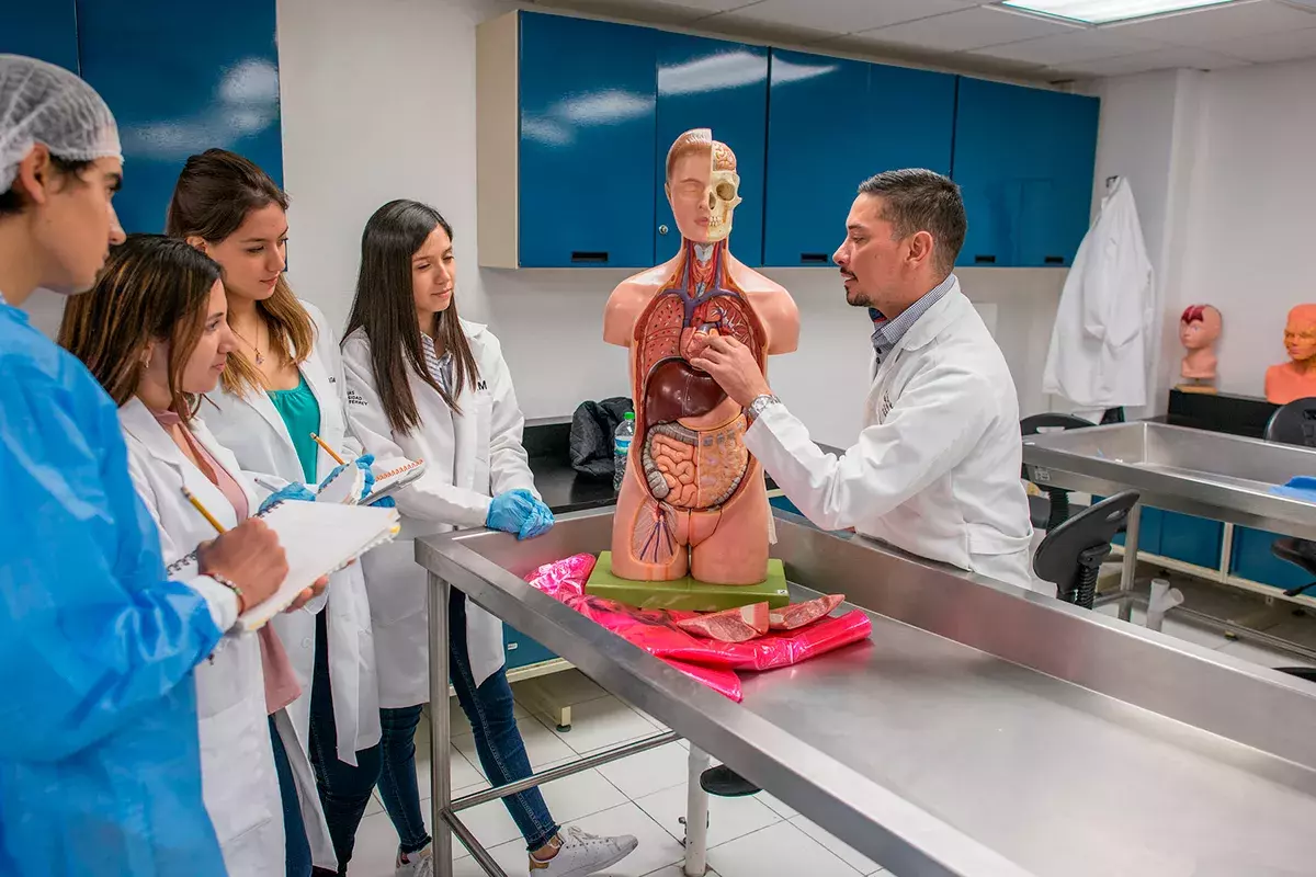 Maestro enseñando a alumnos cuerpo humano.
