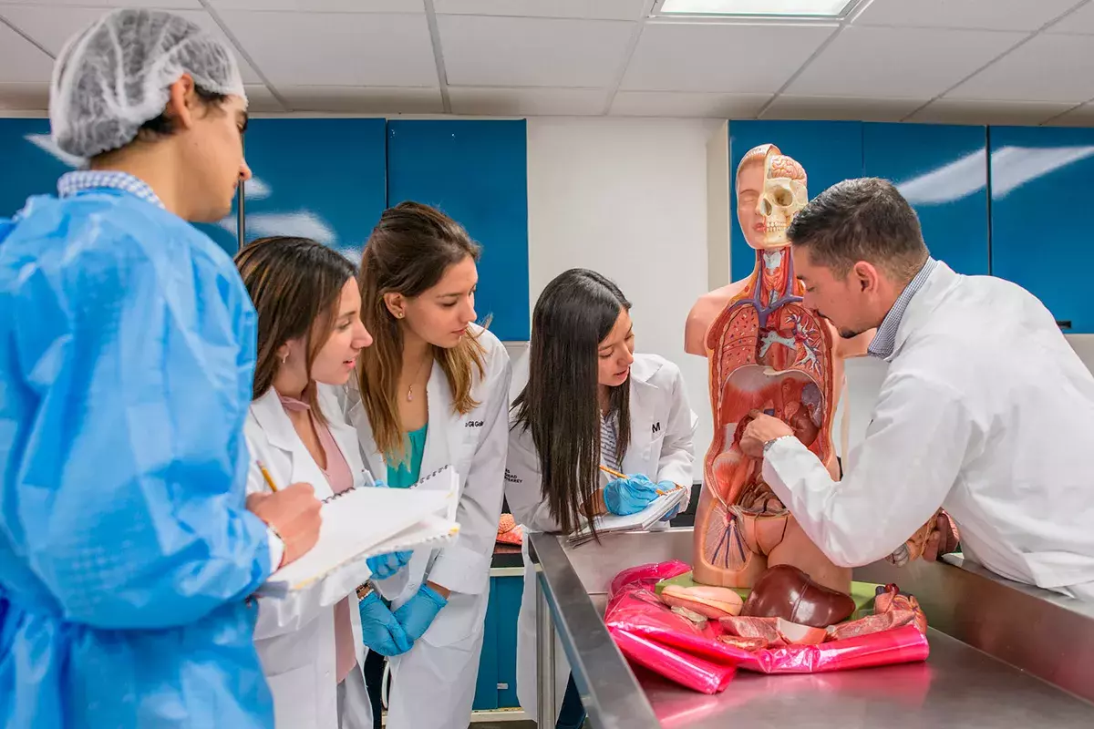 Maestro enseñando a alumnos cuerpo humano.