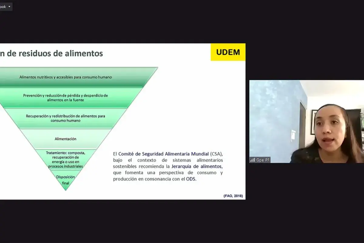Archivo UDEM