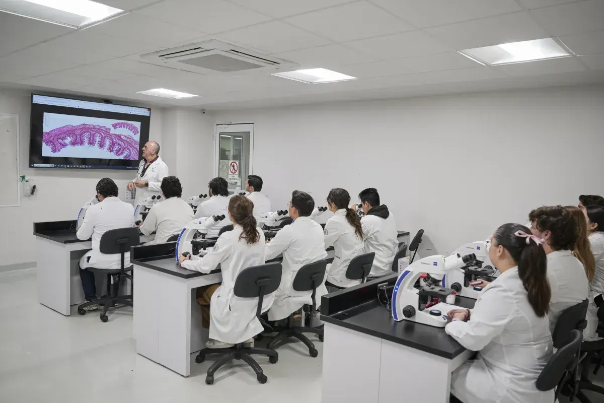Alumnos viendo imagen de células.