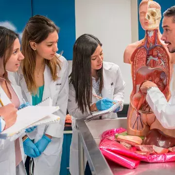 Maestro enseñando a alumnos cuerpo humano.