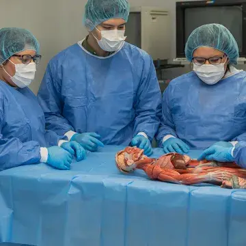 Alumnos en práctica dentro del quirófano experimental.