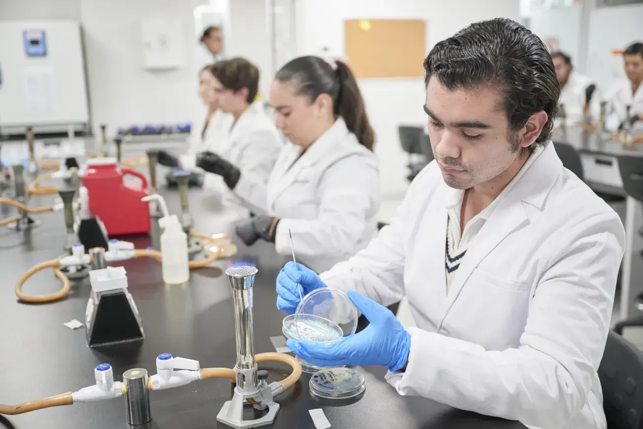 Alumnas analizando cultivo de células.